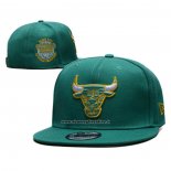 Cappellino Chicago Bulls 9FIFTY Verde